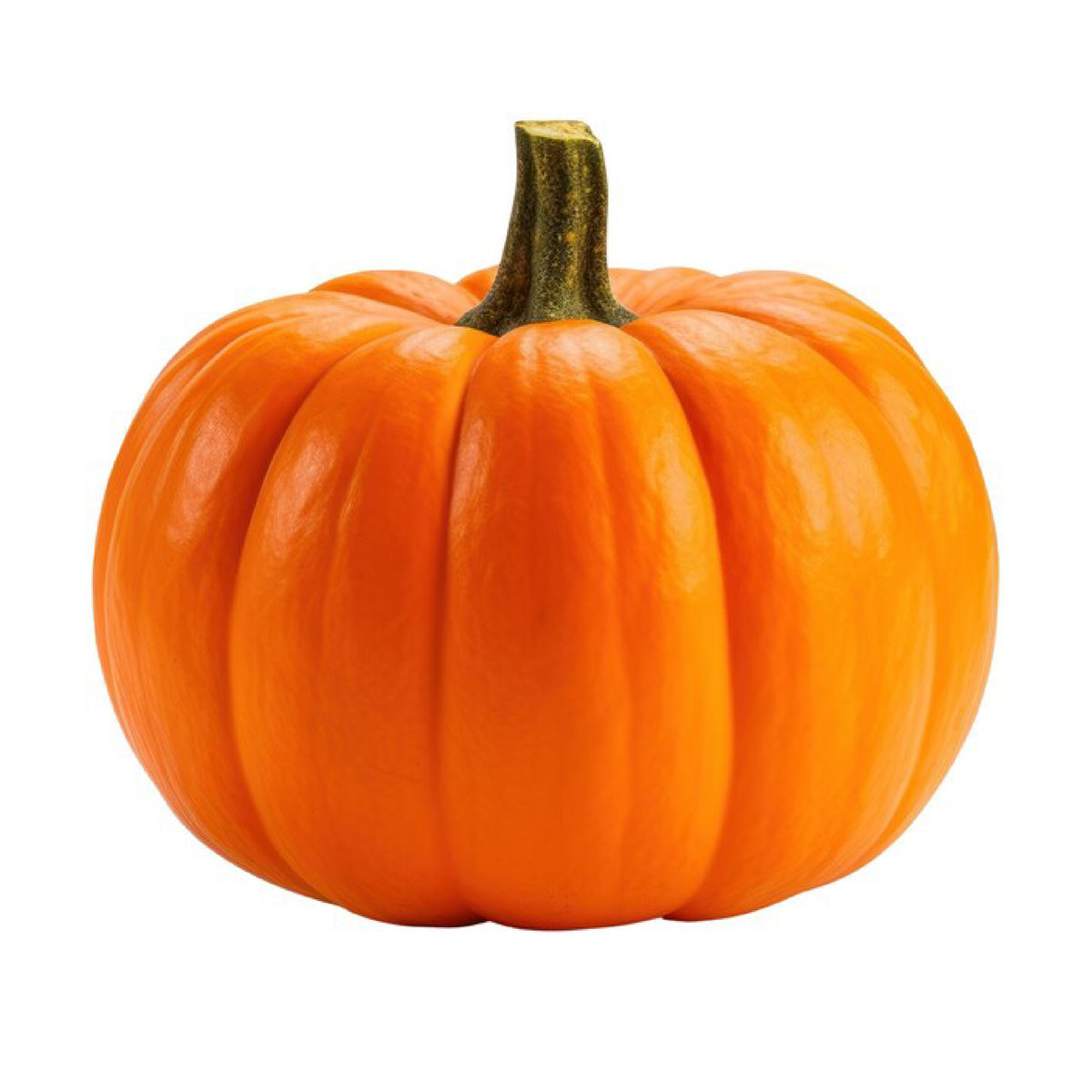 Bocor - Pumpkin