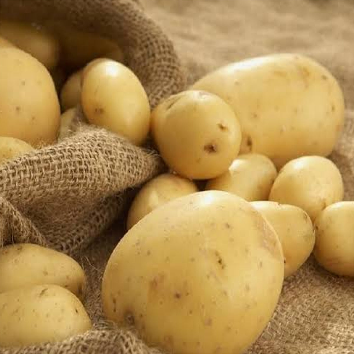 Baradhon-Potato