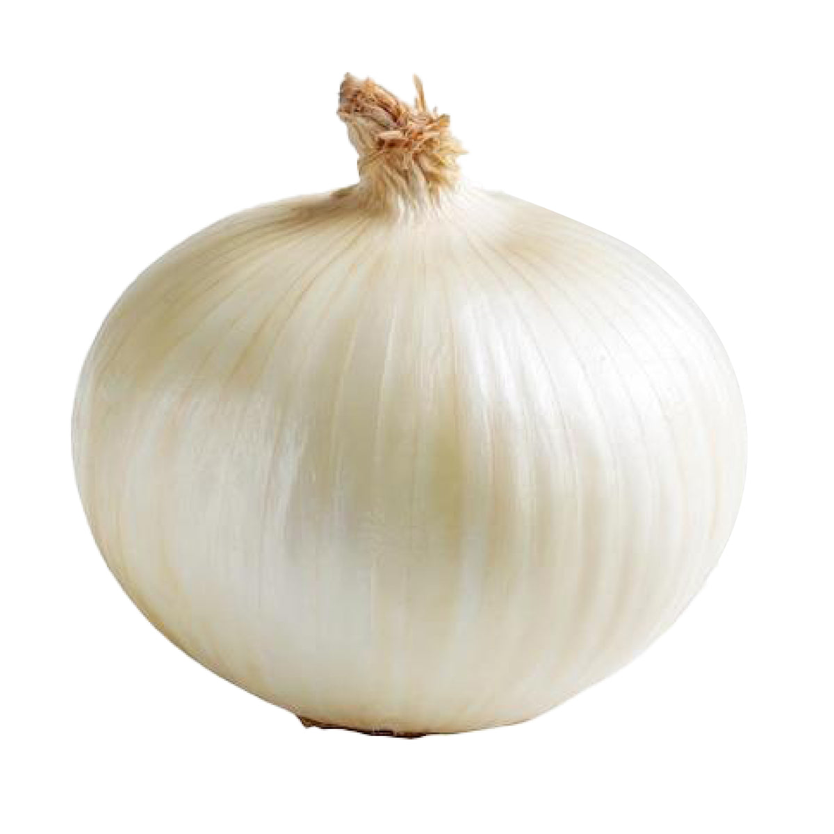 Basal Cadey - Onion