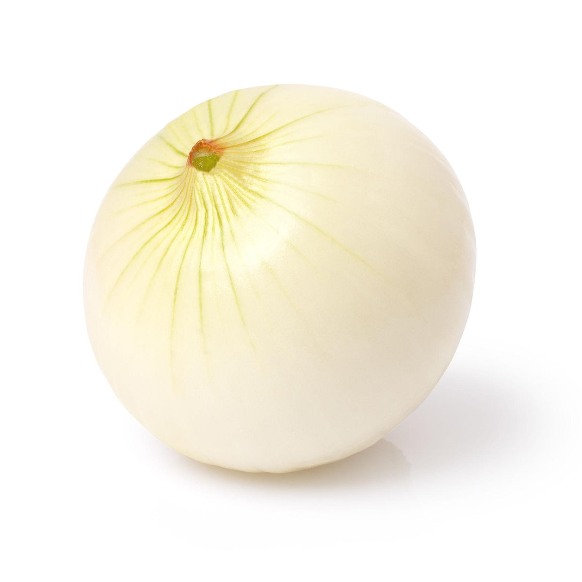 Basal Cadey - Onion