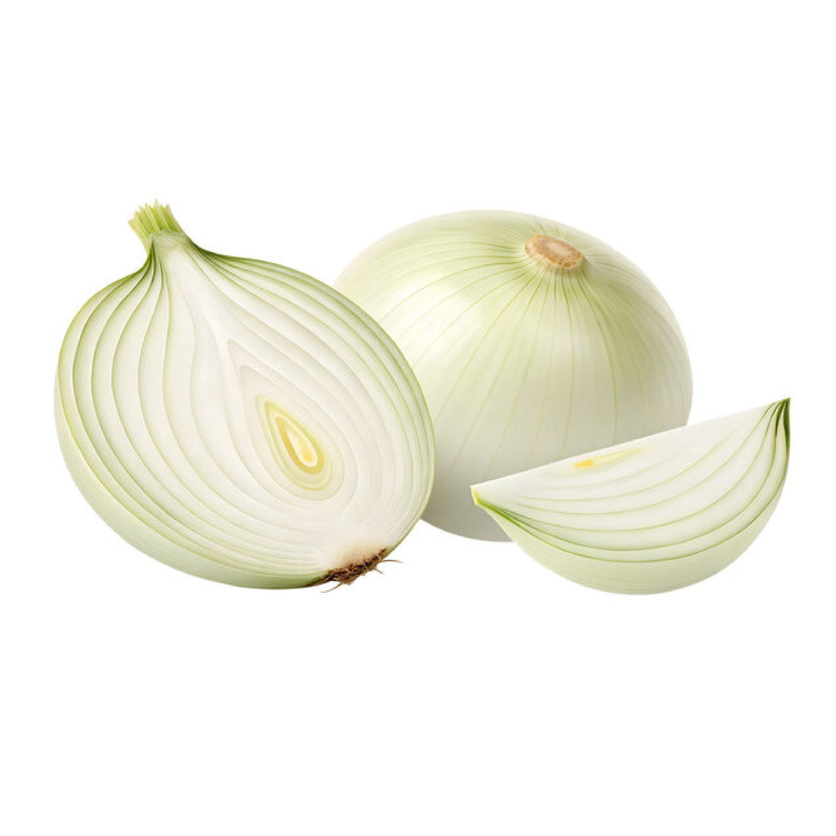 Basal Cadey - Onion