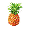 Cananaas – Pineapple