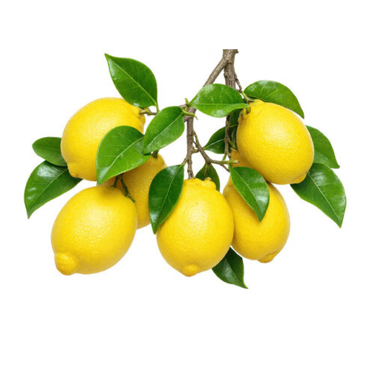 Liin dhanaan-Lemon