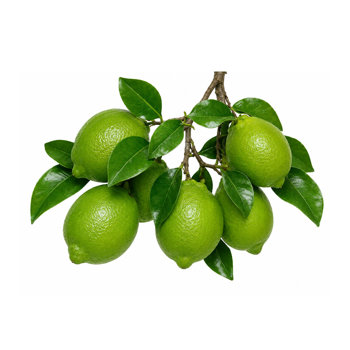Liin dhanaan-Lemon