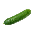 Qajaar Cucumber