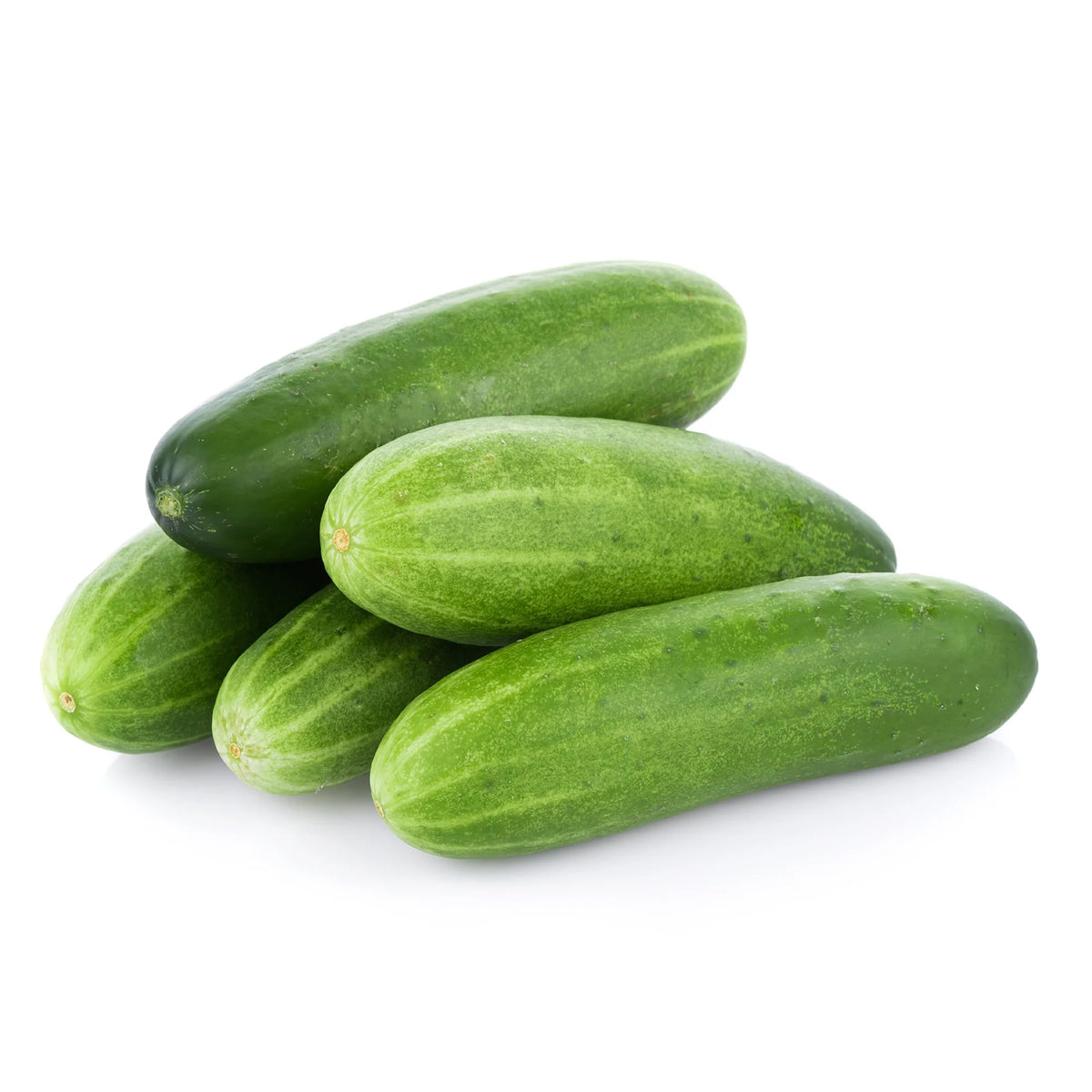 Qajaar Cucumber