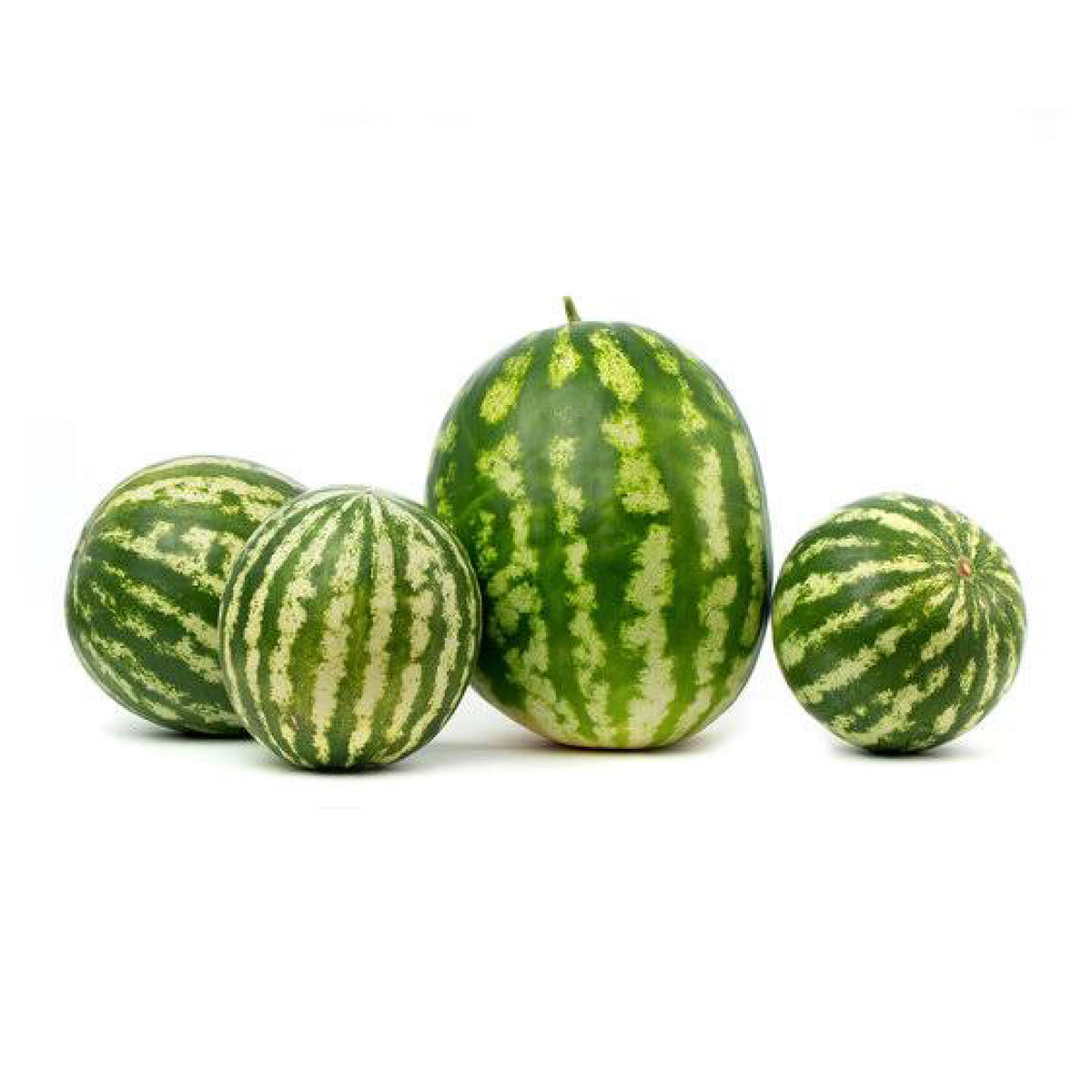Qare-Watermelon