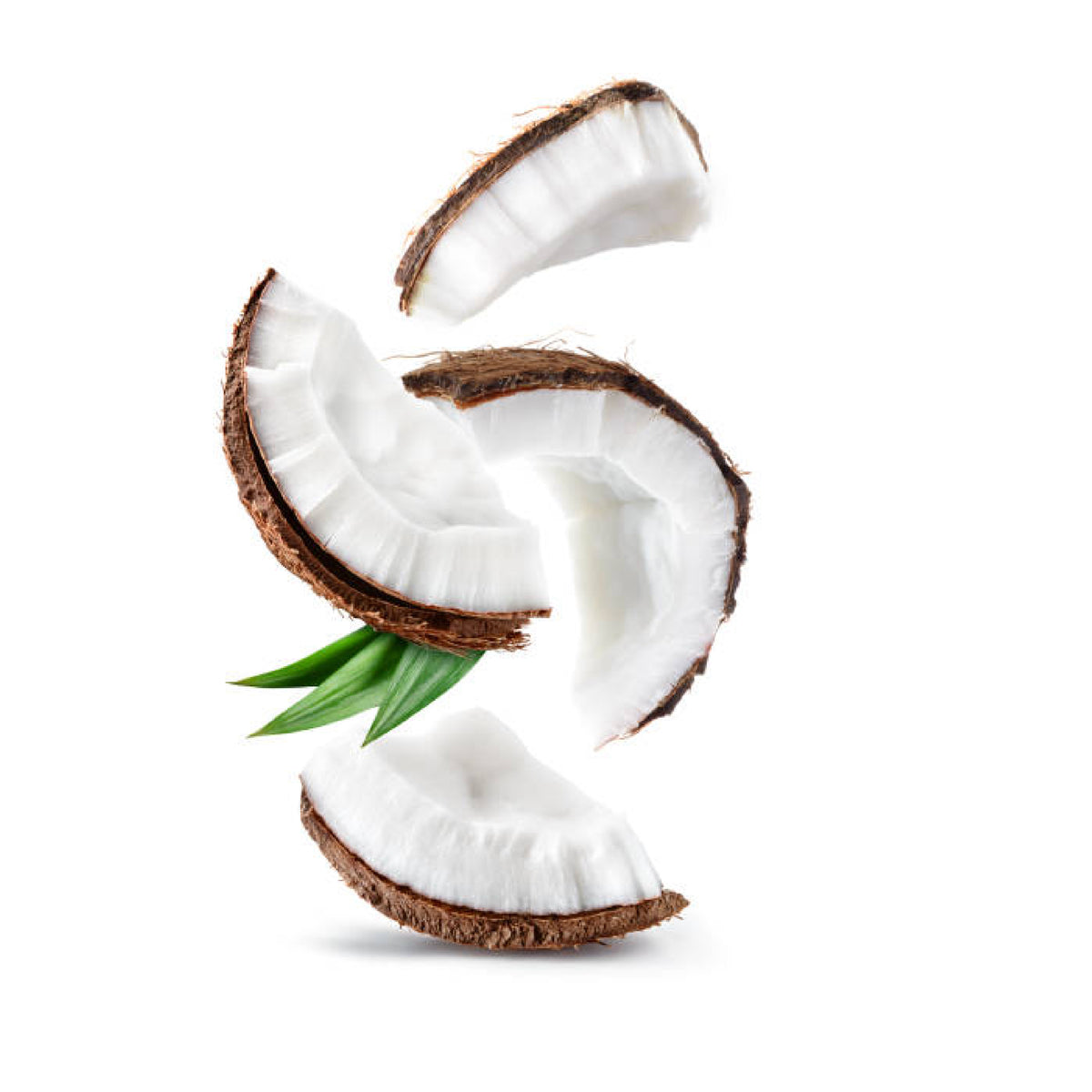 Qumbo – Coconut