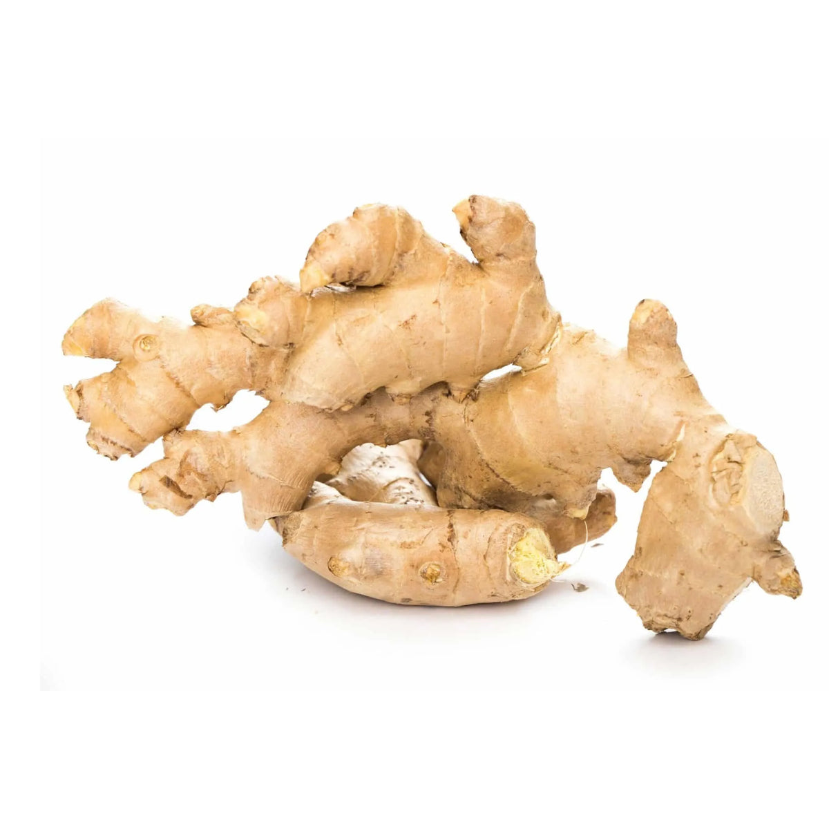 Sanjabil - Ginger