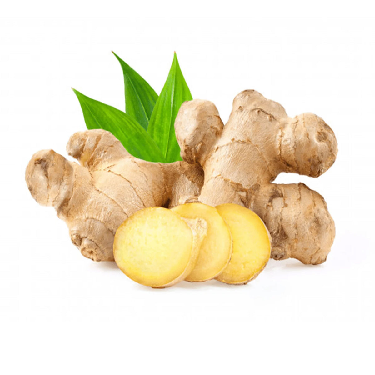 Sanjabil - Ginger
