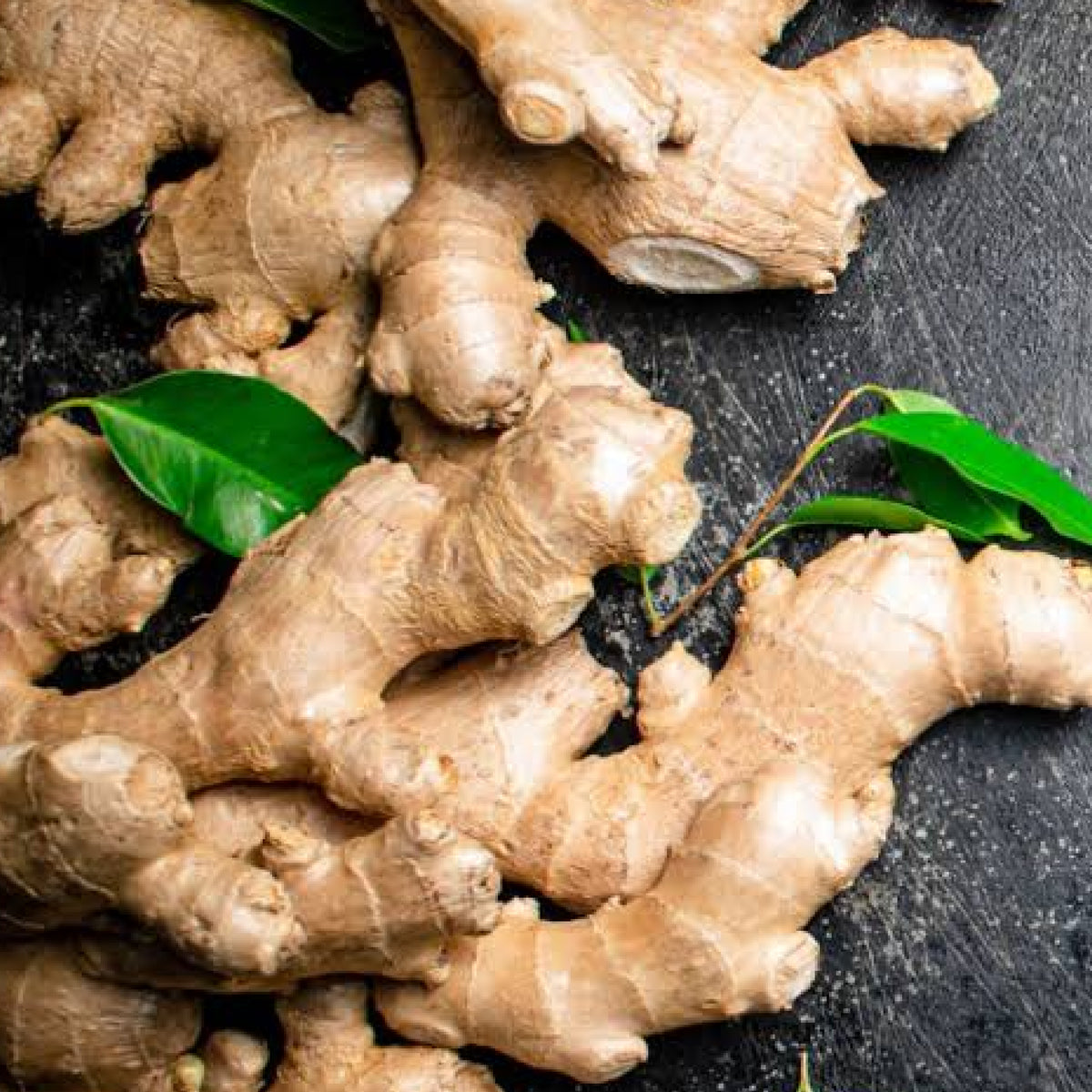 Sanjabil - Ginger