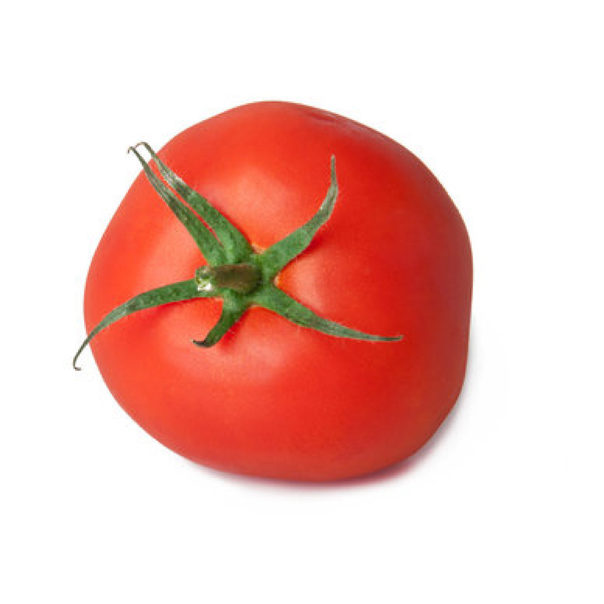 Yaanyo Tomato